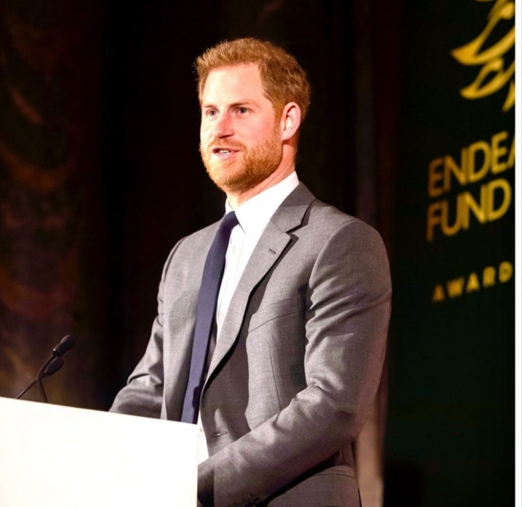 Prince Harry | Duke of Sussex